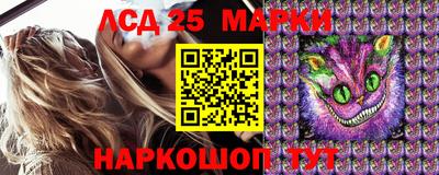 гидра Краснокаменск