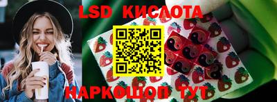 гидра Краснокаменск