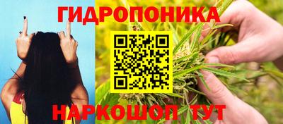 МДПВ Краснознаменск