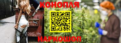 гидра Краснокаменск