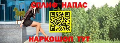 СК Краснодар