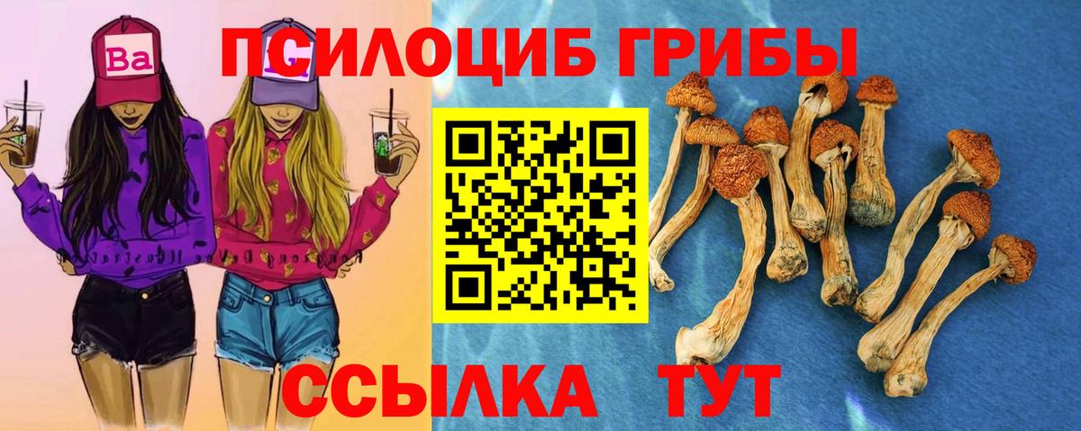 Псилоцибиновые грибы прущие грибы Александров