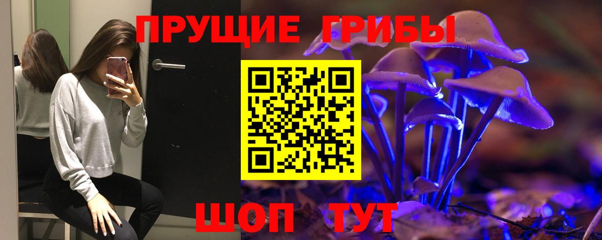 Псилоцибиновые грибы мухоморы  сколько стоит  Вход с VPN  Александров  Псилоцибиновые грибы Magic Shrooms 